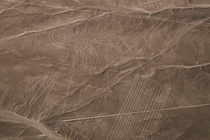 From Ica Overflight Nazca Lines with transfers included