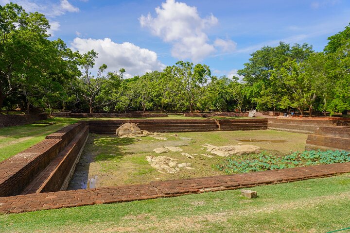 Sigiriya Hike & Minneriya Safari Private Full Day Tour