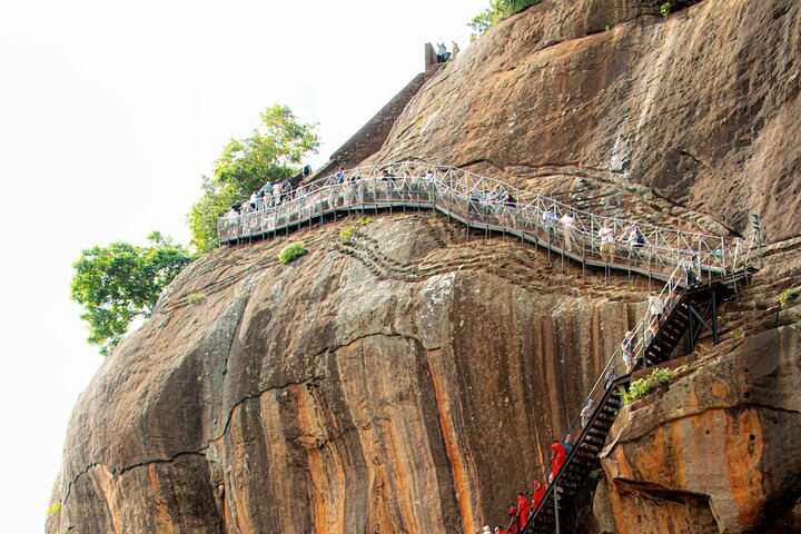 Sigiriya Hike & Minneriya Safari Private Full Day Tour