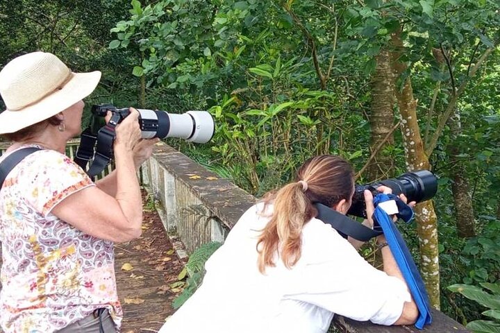 Samoa Full Day Bird Watching Tour with Local Guides
