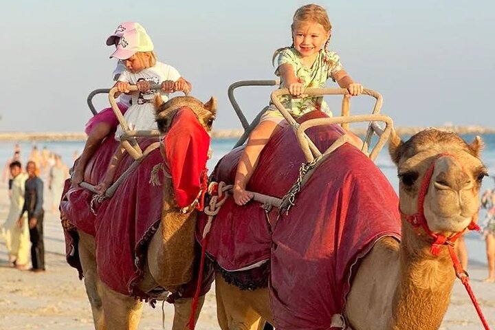 Salalah Camel & Horse Riding Experience