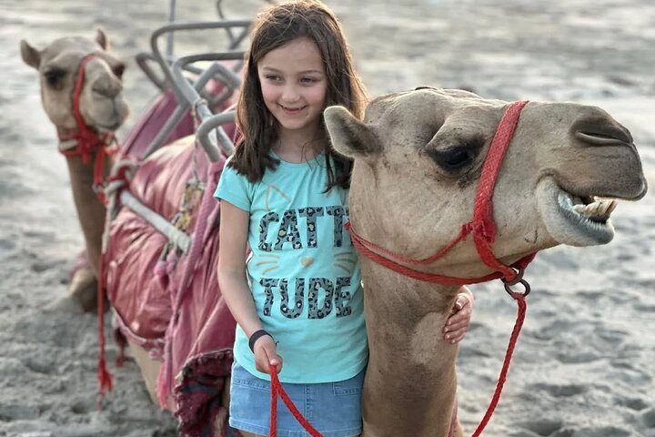 Salalah Camel & Horse Riding Experience