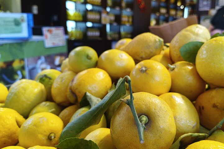 Menton Walking Tour: History, Lemon and Local Flavors