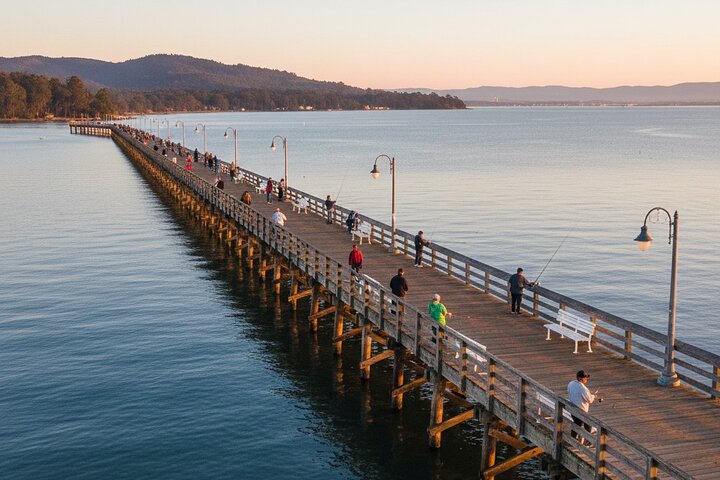Learn to Pier Fish: Beginner Groups 2-6 persons (No license)