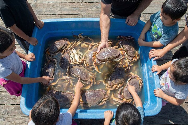 Learn to Pier Fish: Beginner Groups 2-6 persons (No license)