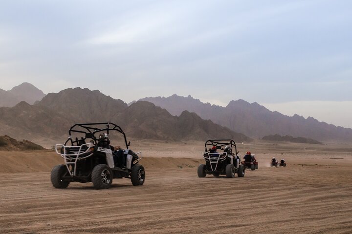 Sharm El-Sheikh: ATV Quad, Camel Ride, BBQ Dinner and Show