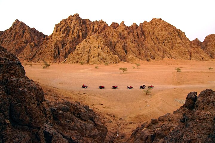 Sharm El-Sheikh: ATV Quad, Camel Ride, BBQ Dinner and Show