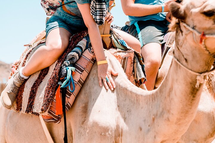 Sharm El-Sheikh: ATV Quad, Camel Ride, BBQ Dinner and Show