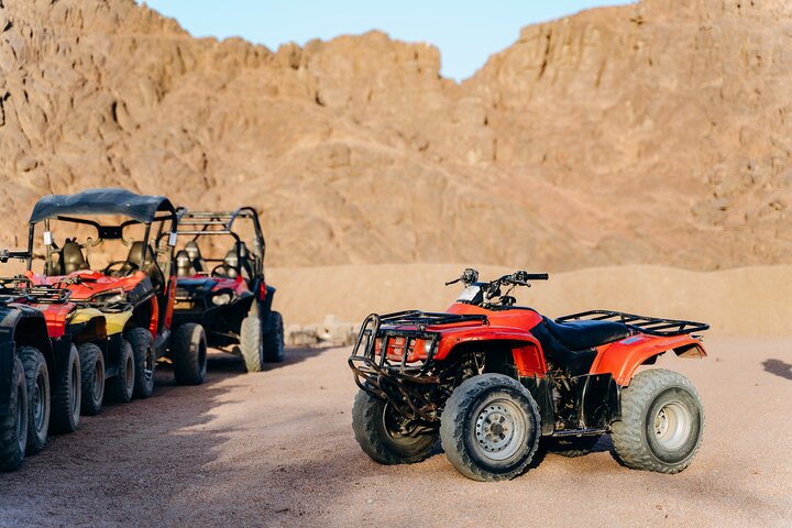Sharm El-Sheikh: ATV Quad, Camel Ride, BBQ Dinner and Show