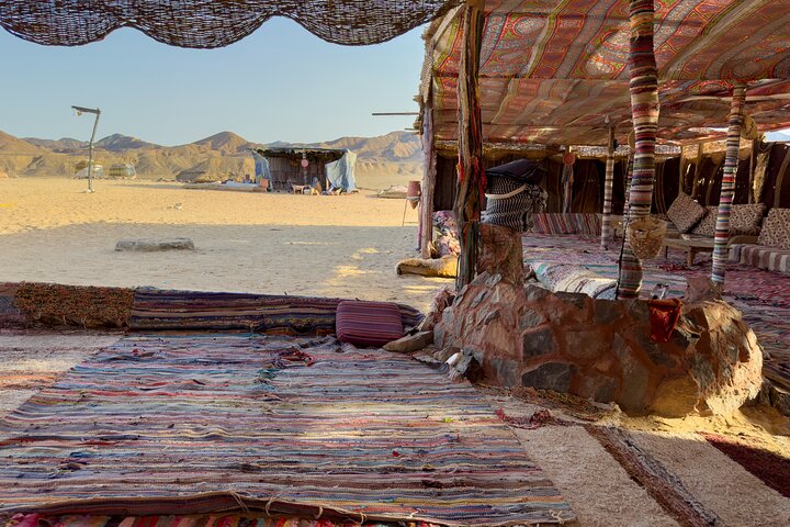 Sharm El-Sheikh: ATV Quad, Camel Ride, BBQ Dinner and Show