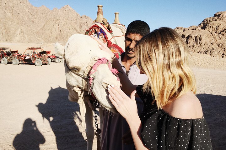 Sharm El-Sheikh: ATV Quad, Camel Ride, BBQ Dinner and Show