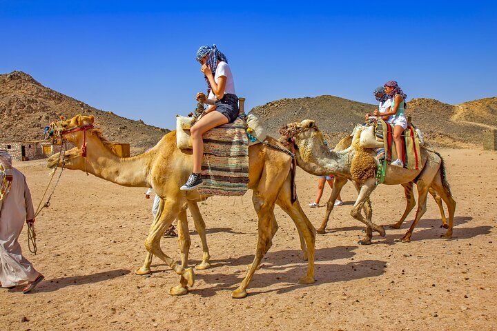 Sharm El-Sheikh: ATV Quad, Camel Ride, BBQ Dinner and Show