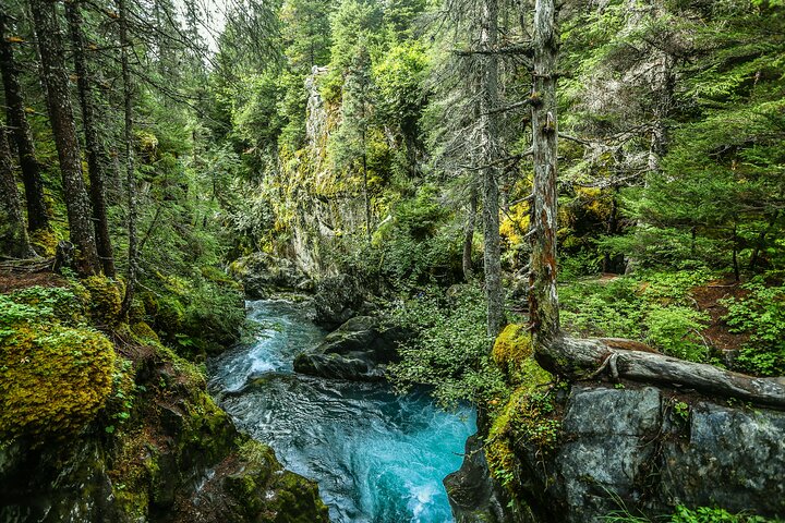 Alaska Road Trip: Anchorage, Seward, Homer & Denali Audio Tour
