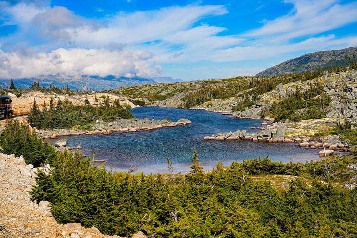 Alaska Road Trip: Anchorage, Seward, Homer & Denali Audio Tour