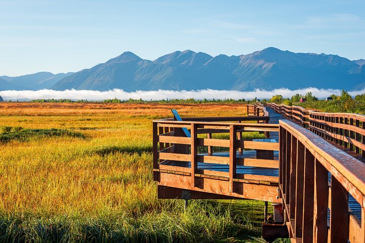 Alaska Road Trip: Anchorage, Seward, Homer & Denali Audio Tour