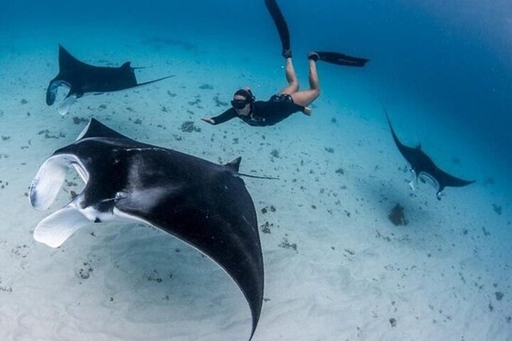 Day Tour West Nusa Penida and Snorkeling From Nusa Lembongan
