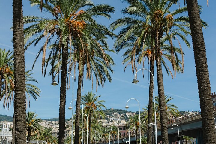Genoa: Portofino Guided Shore Excursion & Private Boat Tour