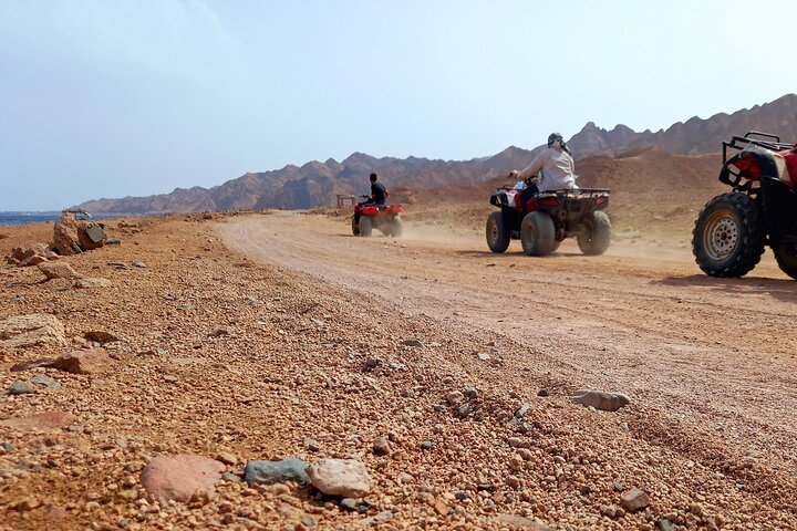 Sharm El-Sheikh: ATV Quad, Camel Ride, BBQ Dinner and Show
