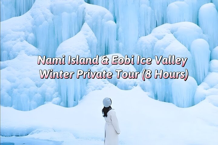 Nami Island & Eobi Ice Valley Winter Private Tour (8 Hours)