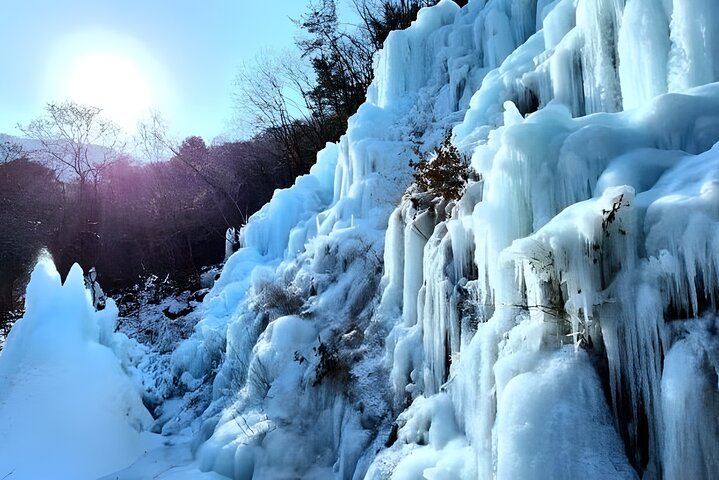 Nami Island & Eobi Ice Valley Winter Private Tour (8 Hours)