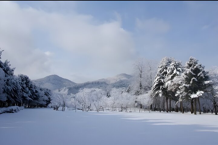 Nami Island & Eobi Ice Valley Winter Private Tour (8 Hours)