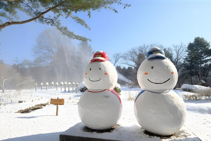 Nami Island & Eobi Ice Valley Winter Private Tour (8 Hours)