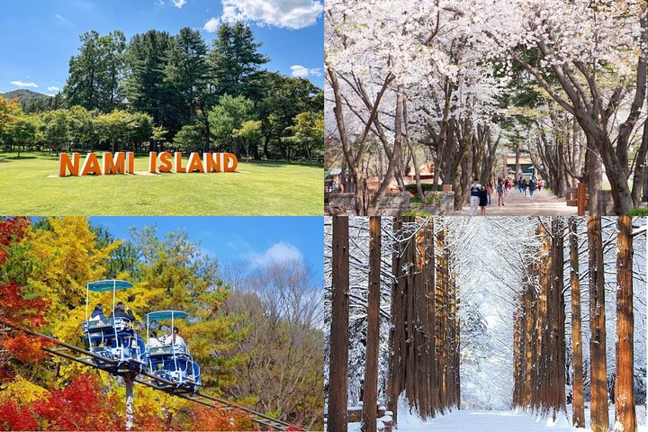 Nami Island & Eobi Ice Valley Winter Private Tour (8 Hours)
