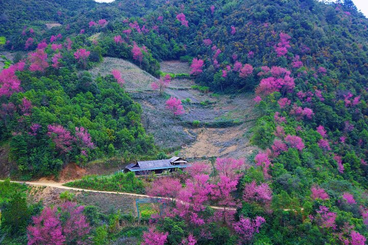 3 Days Trekking Mu Cang Chai Hidden Trails