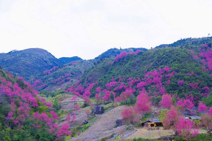 3 Days Trekking Mu Cang Chai Hidden Trails