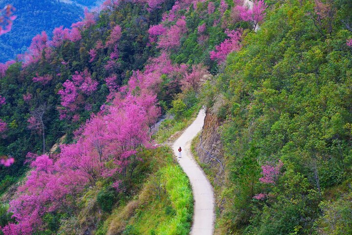3 Days Trekking Mu Cang Chai Hidden Trails