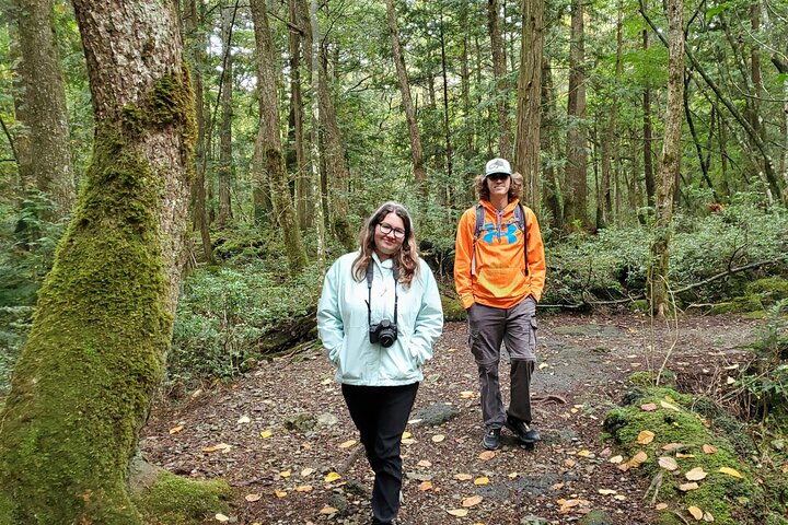 Mt Fuji Aokigahara Forest Adventure Hiking Tour