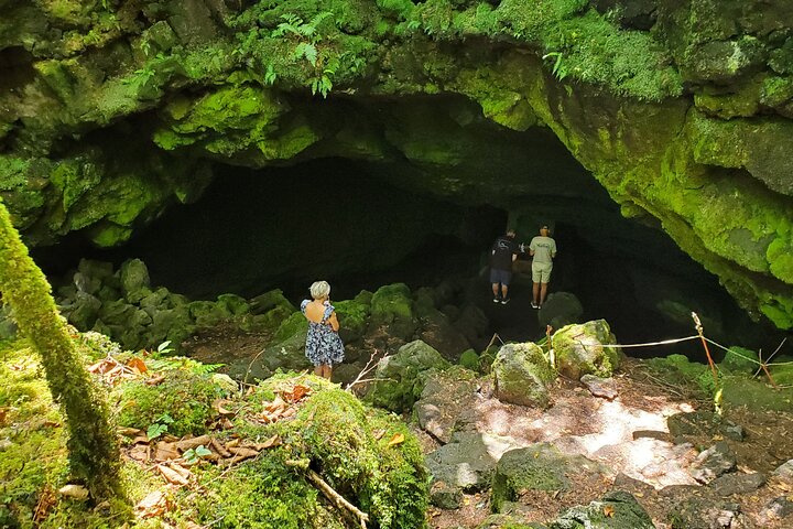 Mt Fuji Aokigahara Forest Adventure Hiking Tour