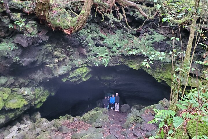 Mt Fuji Aokigahara Forest Adventure Hiking Tour