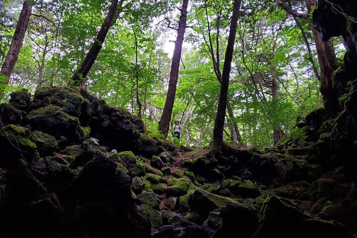 Mt Fuji Aokigahara Forest Adventure Hiking Tour
