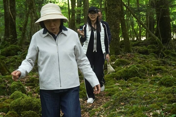 Mt Fuji Aokigahara Forest Adventure Hiking Tour