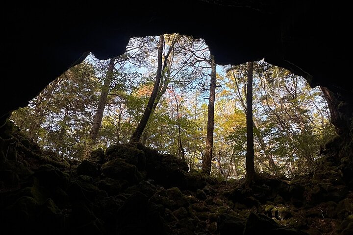 Mt Fuji Aokigahara Forest Adventure Hiking Tour