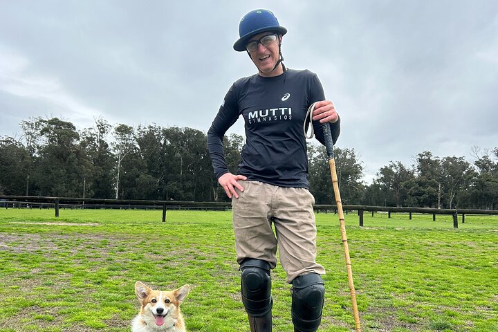 Polo Lessons in Mar del Plata: Learn and Improve Your Game
