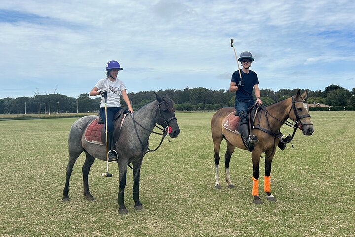 Polo Lessons in Mar del Plata: Learn and Improve Your Game