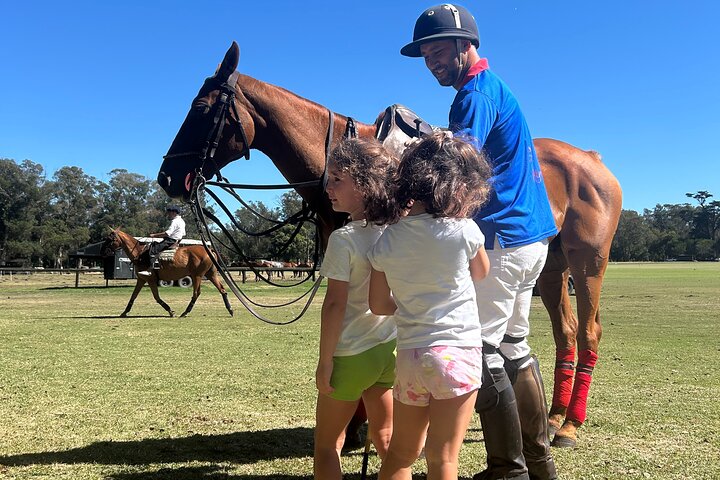 Polo Lessons in Mar del Plata: Learn and Improve Your Game