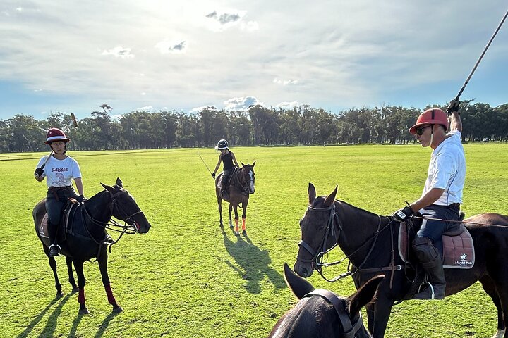Polo Lessons in Mar del Plata: Learn and Improve Your Game