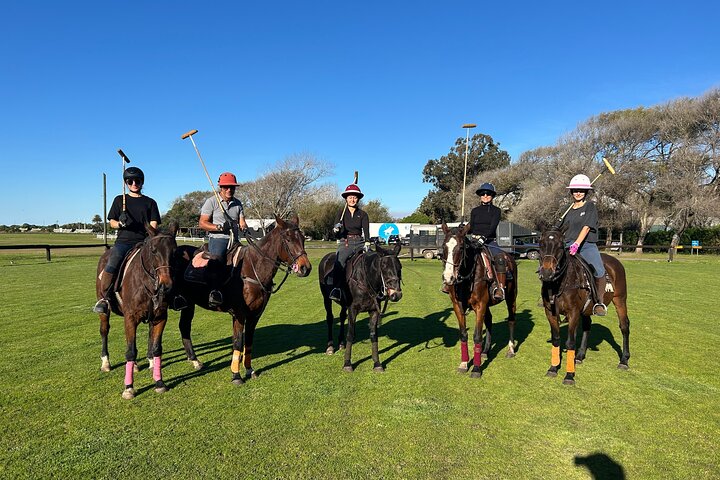 Polo Lessons in Mar del Plata: Learn and Improve Your Game