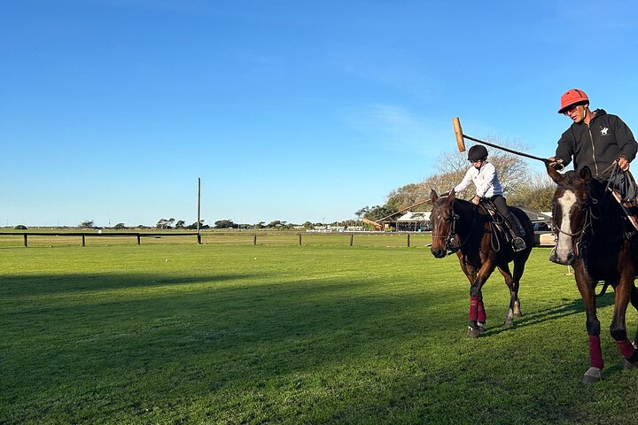 Polo Lessons in Mar del Plata: Learn and Improve Your Game