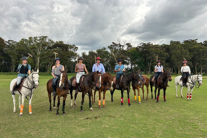 Polo Lessons in Mar del Plata: Learn and Improve Your Game