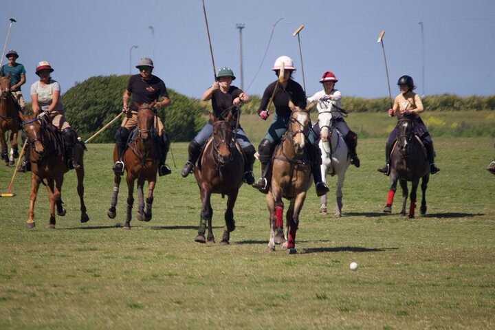 Polo Lessons in Mar del Plata: Learn and Improve Your Game