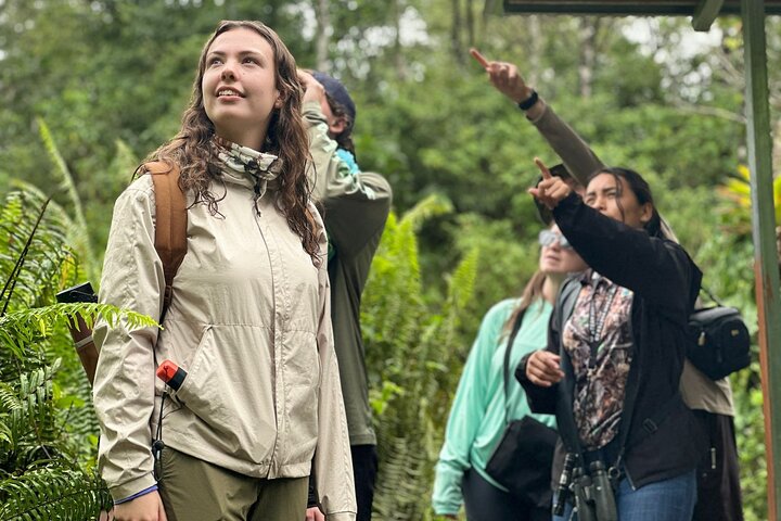 Rio Celeste, Sloth Watching & Waterfall Rainforest Experience