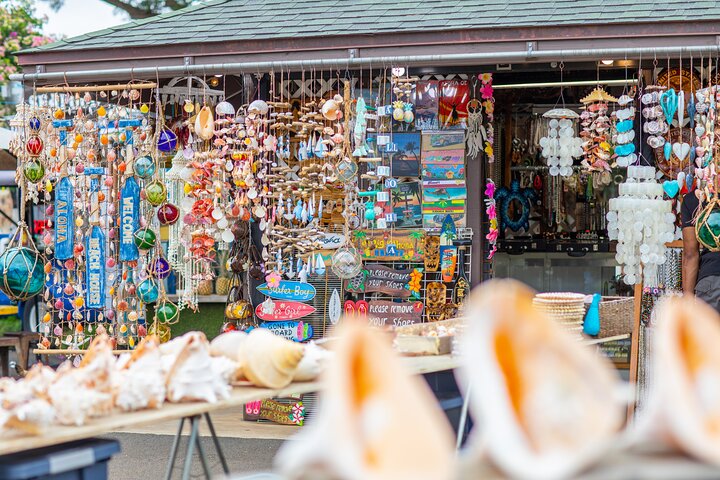 Oahu: Full or Half Day Grand Circle Island Tour