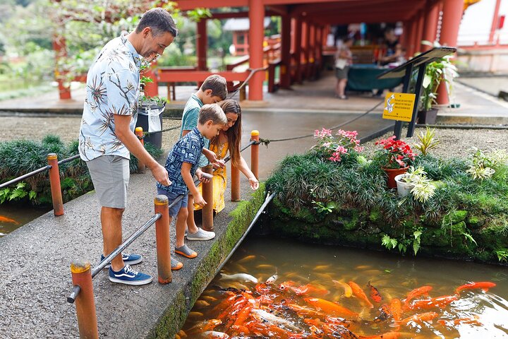 Oahu: Full or Half Day Grand Circle Island Tour