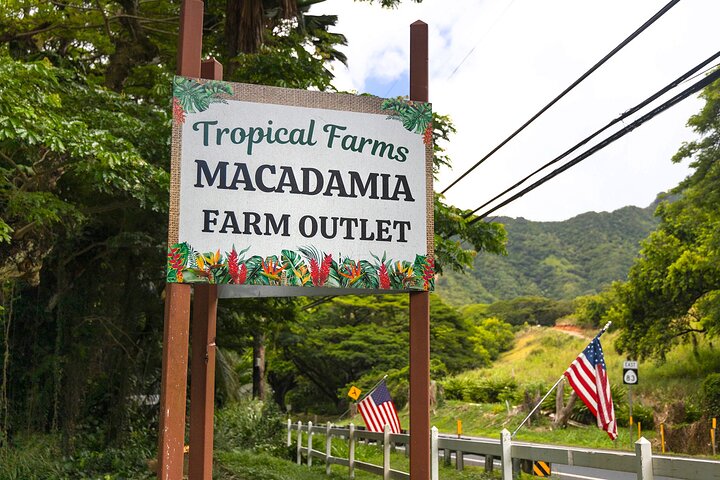 Oahu: Full or Half Day Grand Circle Island Tour