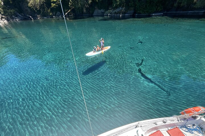 Sailing boat ride