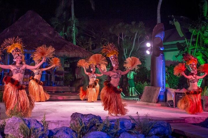 Island Dinner Show Cultural show BBQ Fiesta Plate Course